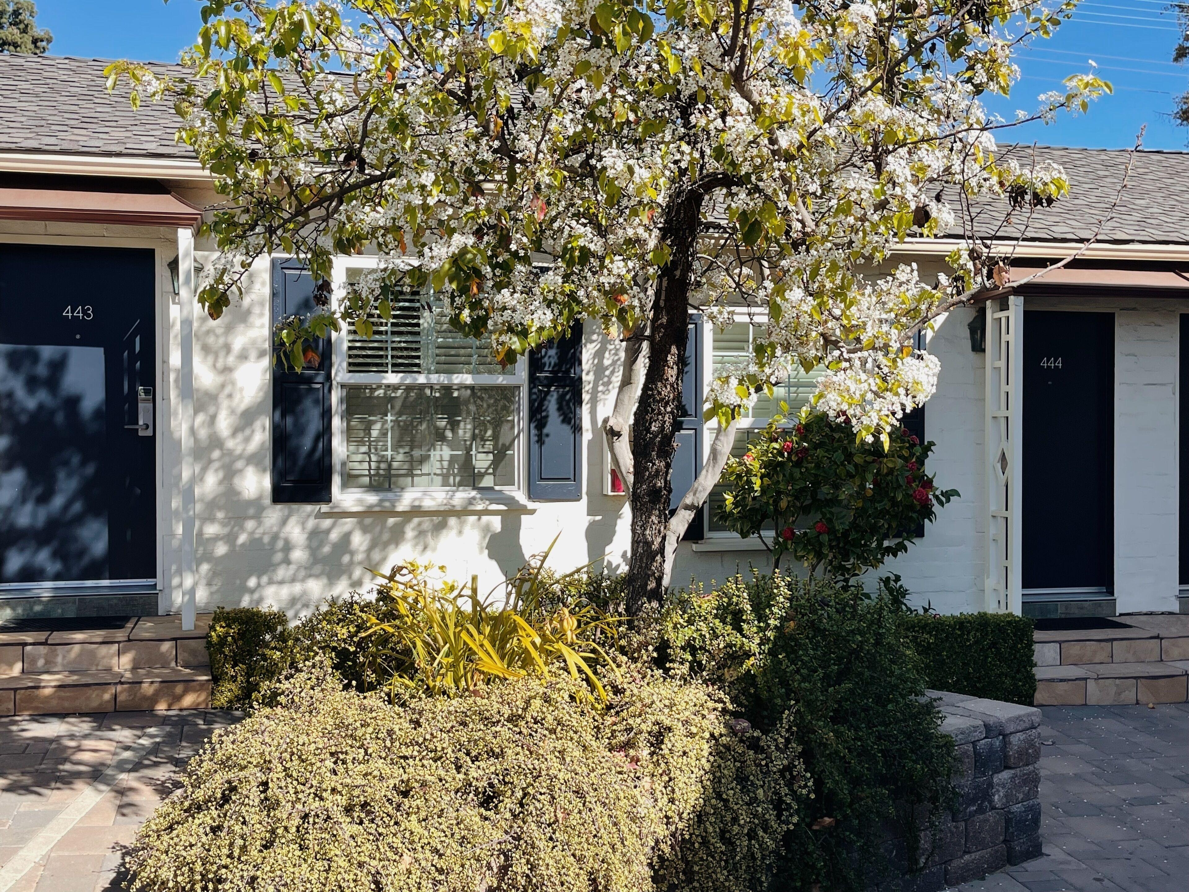 Le Petit Pali Brentwood — Photos 1